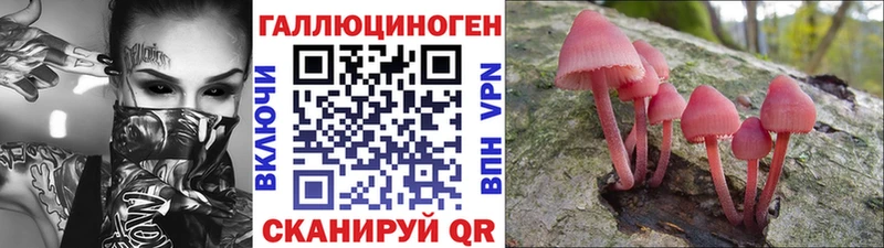 Галлюциногенные грибы ЛСД  где купить наркоту  Курильск 